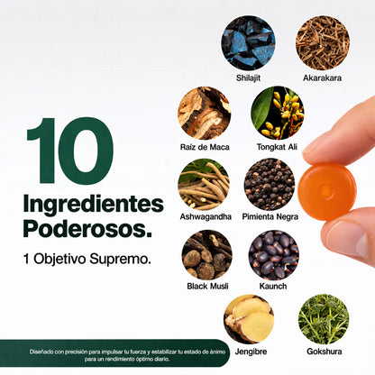 Gomitas ALPHA: Potencia Masculina y Energia Extrema